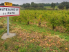 CNP-Road-Sign