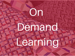 On Demand Learning