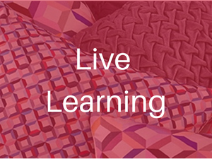 Live Learning